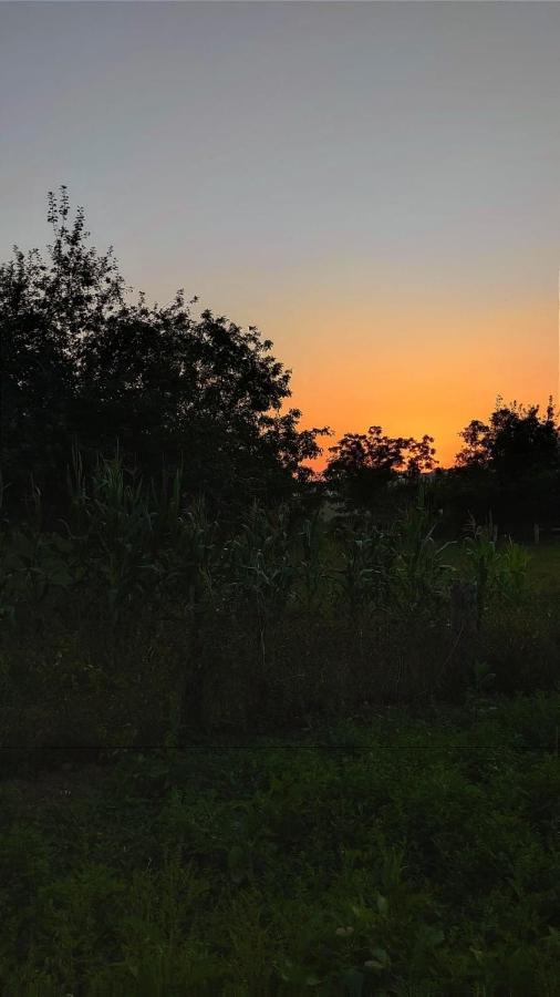 La Posada Del Canario Onís Exteriér fotografie